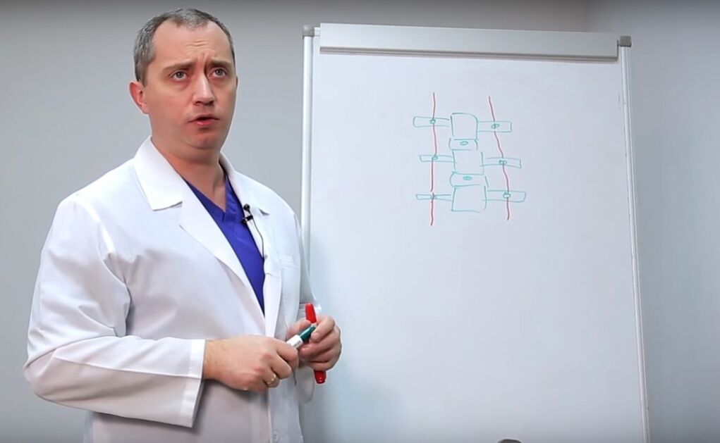 Лікар показує структуру хребта